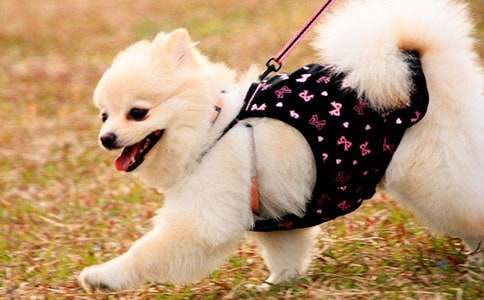 ���꼉С���W(xu��)���m(x��)�����ģ�ͨ��27ƪ��