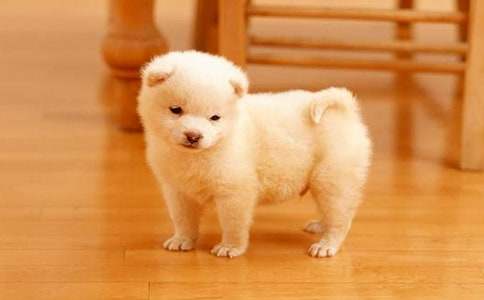 ������С���W(xu��)���m(x��)������