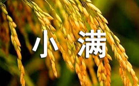 小滿問候語及關(guān)心話語