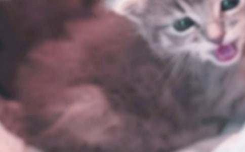 С؈������15ƪ