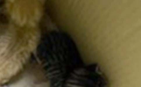 С؈�����ľ��x15ƪ