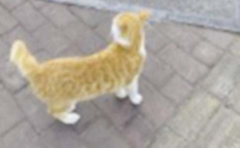 С�W(xu��)С؈����400���\��ʮƪ