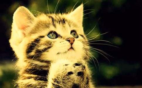 ��(sh��)�õ�С�W(xu��)��С؈����300�օR��8ƪ