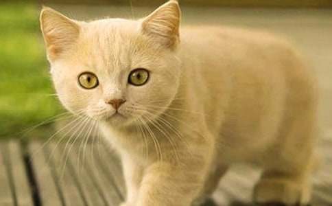 �P(gu��n)��С؈С�W(xu��)���ĺϼ�8ƪ