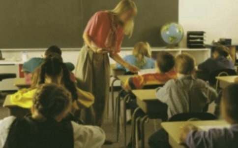 社會實踐小學生心得體會(精選17篇)