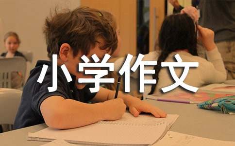 ���Z(y��)С�W(xu��)����