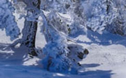 Сѩ��(ji��)��̰�15ƪ