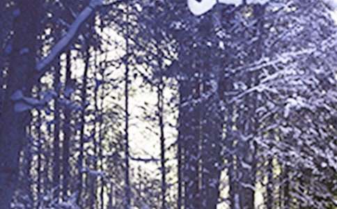 ��ʮ�Ĺ�(ji��)��Сѩ�L���̰���ͨ��14ƪ��