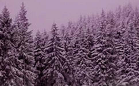 Сѩ��(ji��)���vԒ��