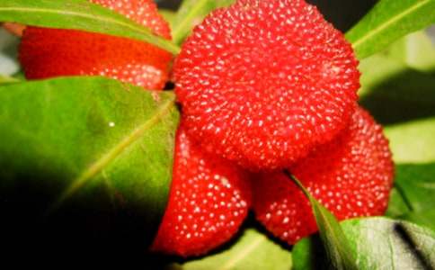 ���Ґ�(��i)���l(xi��ng)�ė�÷����(y��u)��̰���ͨ��10ƪ��