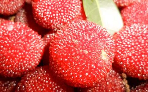 ժ��÷����15ƪ[��(y��u)�x]