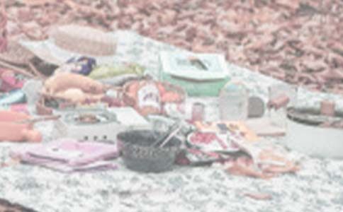 戶外野餐活動(dòng)策劃書(shū)