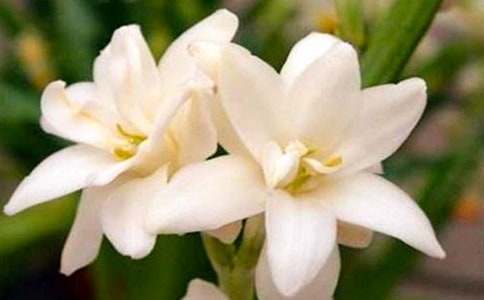 ҹ��������[���]]