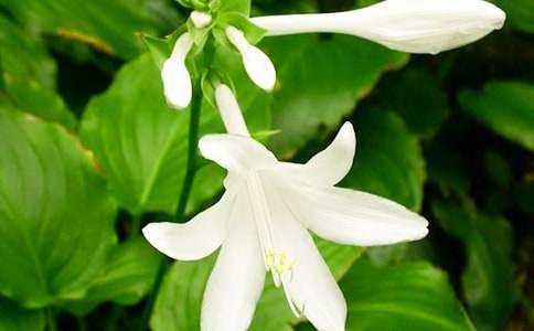 ҹ��(l��i)������[���x15ƪ]