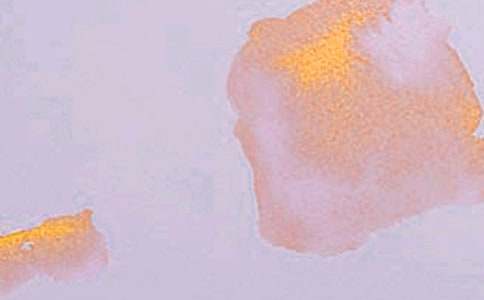 ˇ�g(sh��)�M�������Y(ji��)