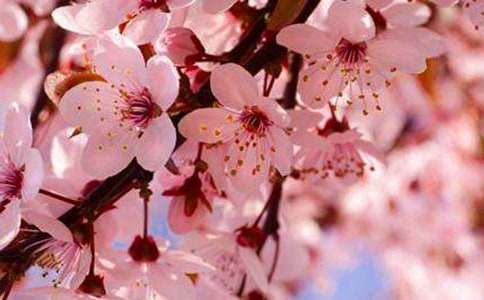 �ۼt�ѻ����Z