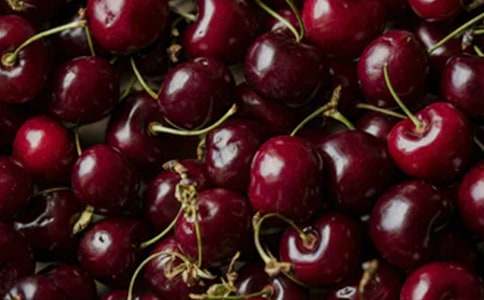 ���ҜϵĴ����x���(�ϼ�15ƪ)