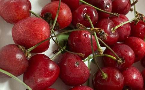 櫻桃小學(xué)作文