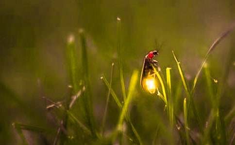 Ξ���x֮Ĺ�^���7ƪ