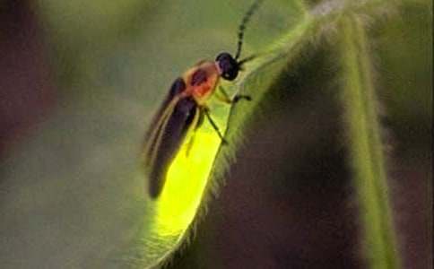 �P(gu��n)���x���W����Ξ���x���иУ����x10ƪ��