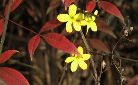 (�؂�)ӭ��������15ƪ