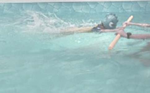 游泳課心得體會(huì)