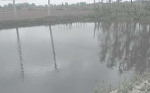 �r(n��ng)���~���а���ͬ15ƪ