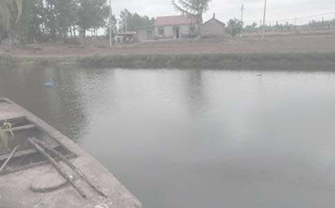 魚塘承包合同(通用15篇)