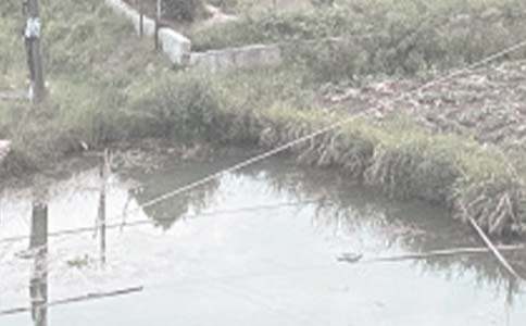 ��(sh��)�õ��~���а���ͬ4ƪ