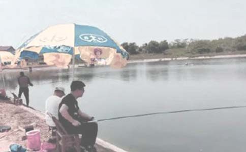 個人魚塘承包合同