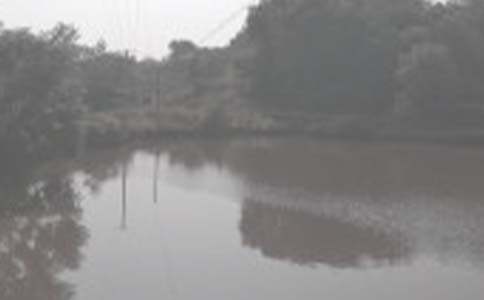 �r(n��ng)���~���а���ͬ���R��14ƪ��