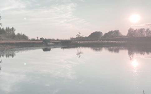 �r���~���а���ͬ����(y��u)�㣩