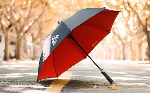 愛心雨傘活動策劃(合集9篇)