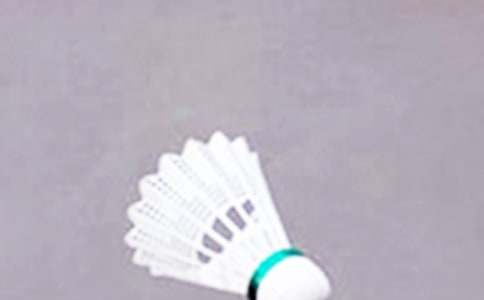 羽毛球活動策劃書經(jīng)典15篇