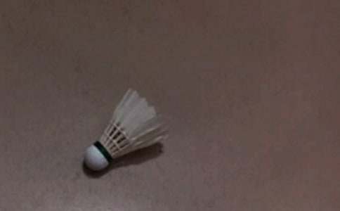 羽毛球心得體會(huì)集合(15篇)