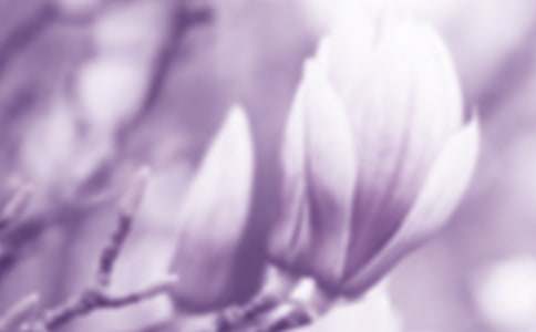 ���m������