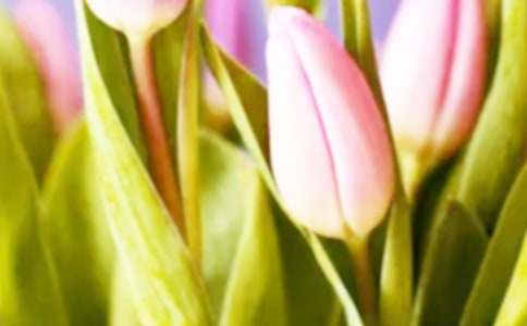 ������Ļ��Z