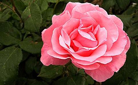 ����(j��ng)�䡿�¼�������