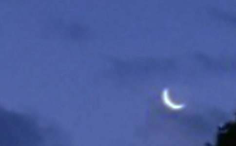 《鼴鼠的月亮河》讀后感精選15篇