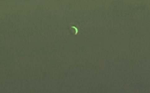 《鼴鼠的月亮河》讀后感(集錦15篇)