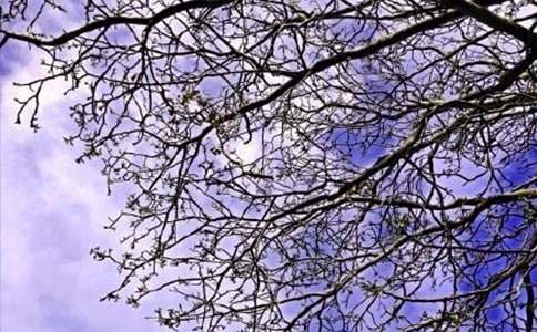 簡(jiǎn)單的美好的早安祝福語語錄集合45句