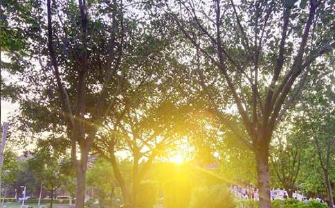 2023�꾫�x���õ��簲΢��ף���Zժ�30�l