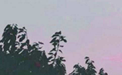 �����á�2023�����õ��簲ף���Z�Z䛴�ϼ�57��