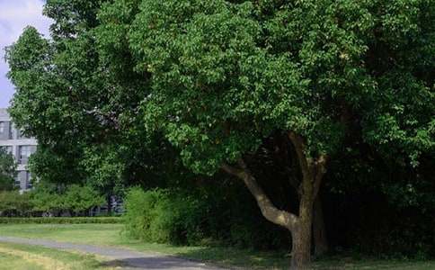 【必備】美好的早安微信祝福語集錦60條