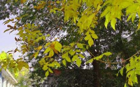 �����á����õ��簲΢��ף���Z�󼯺�59��