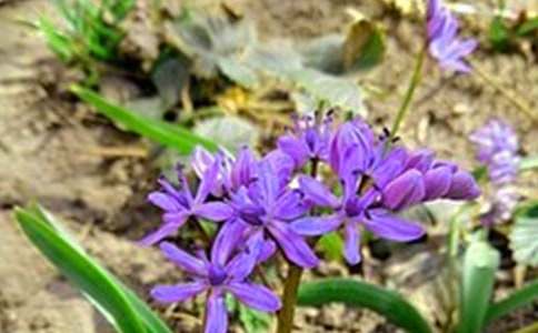 2023年有關(guān)美好的早安微信祝福語摘錄59句