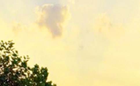 ͨ�����õ��簲ף���Z�Z�25�l