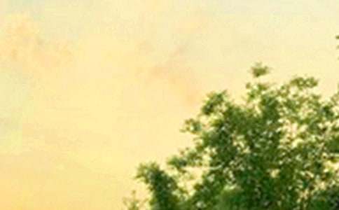 有關(guān)朋友圈早安祝福語大全(通用55句)