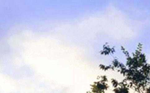 �����簲ף���Z120�侫�x