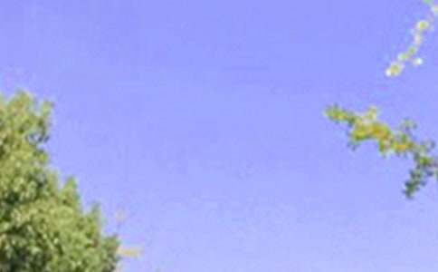 常用個性早安祝福語185句精選